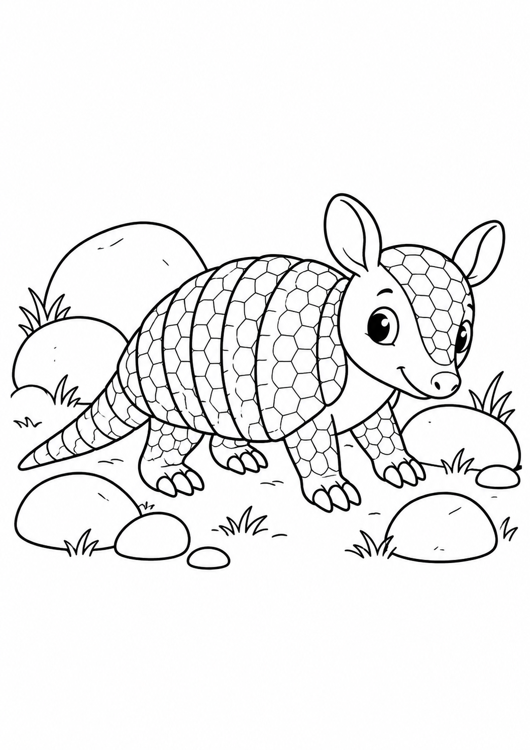Tatu-bola desenrolado ao lado de pedras arredondadas, desenho para colorir em A4 retrato